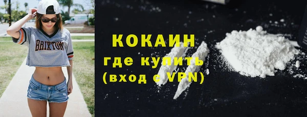 МДПВ Вяземский